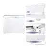 Super General 250 Liter Chest Freezer, Energy Efficient, Lock and Key, light-weight construction, 1-Year Warranty, SGF244HE