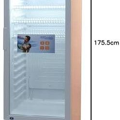 Super General 248L Single Door Chiller SGSC298