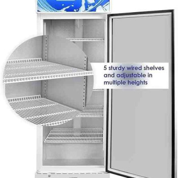 Super General 600 Liters Single Door Chiller SGSC717NG